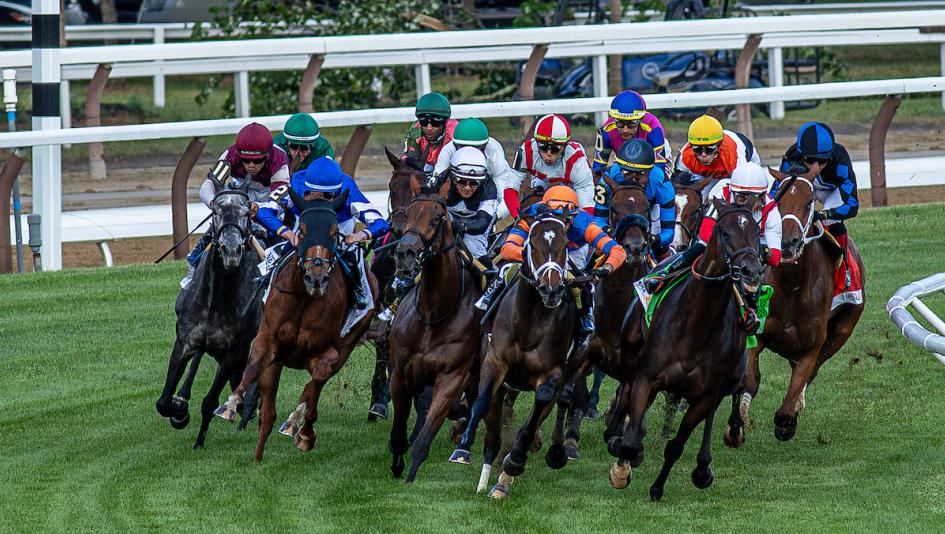 Diana Stakes, Saratoga Race Course, Chad Brown, Didia